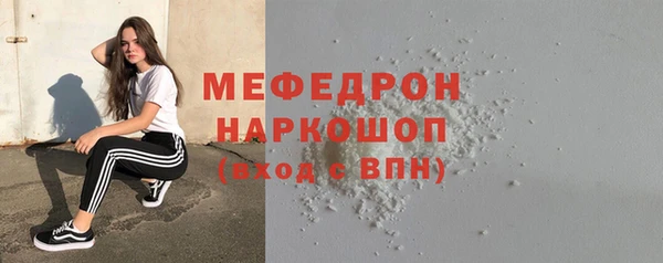 сатива Каменка