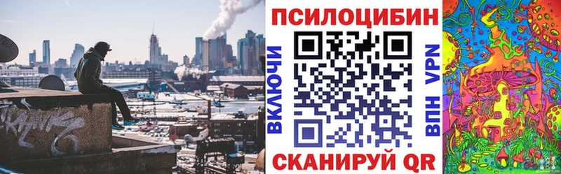 что такое наркотик  Верхотурье  Галлюциногенные грибы прущие грибы 
